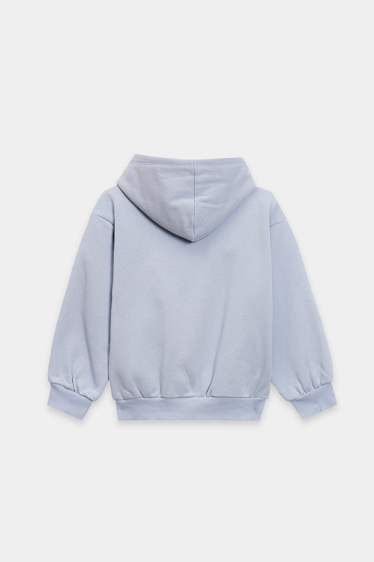HOODIE (E1820/401/635)