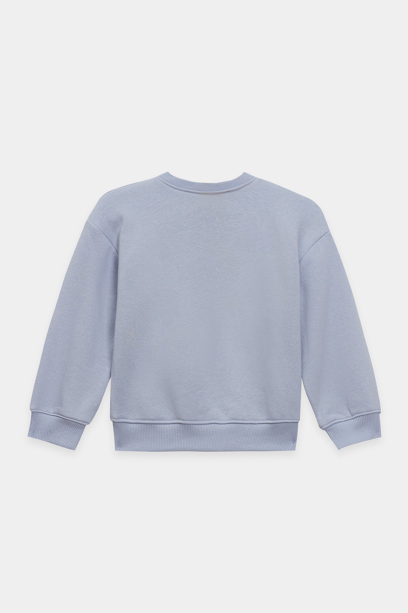 SWEAT SHIRT (E1932/301/635)