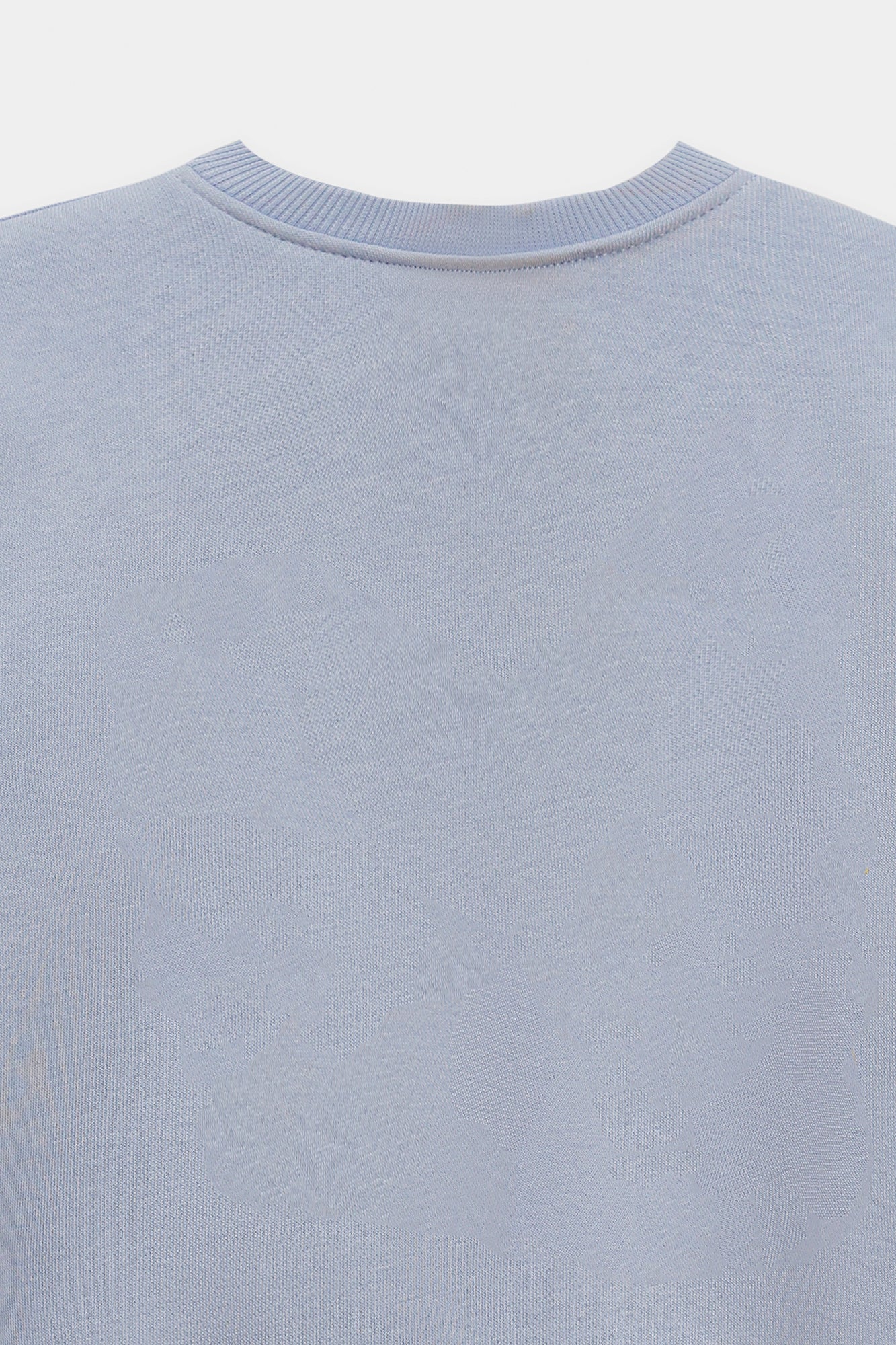 SWEAT SHIRT (E1932/301/635)