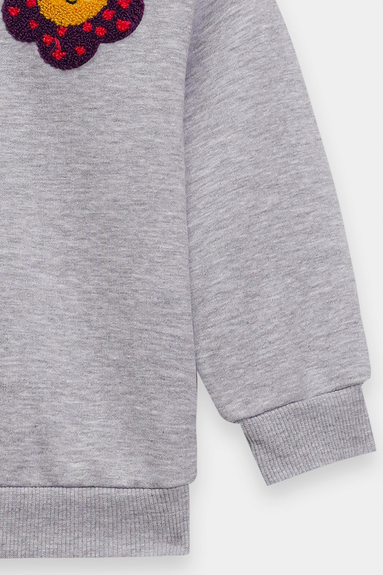 SWEATSHIRT (E1937/301/915)