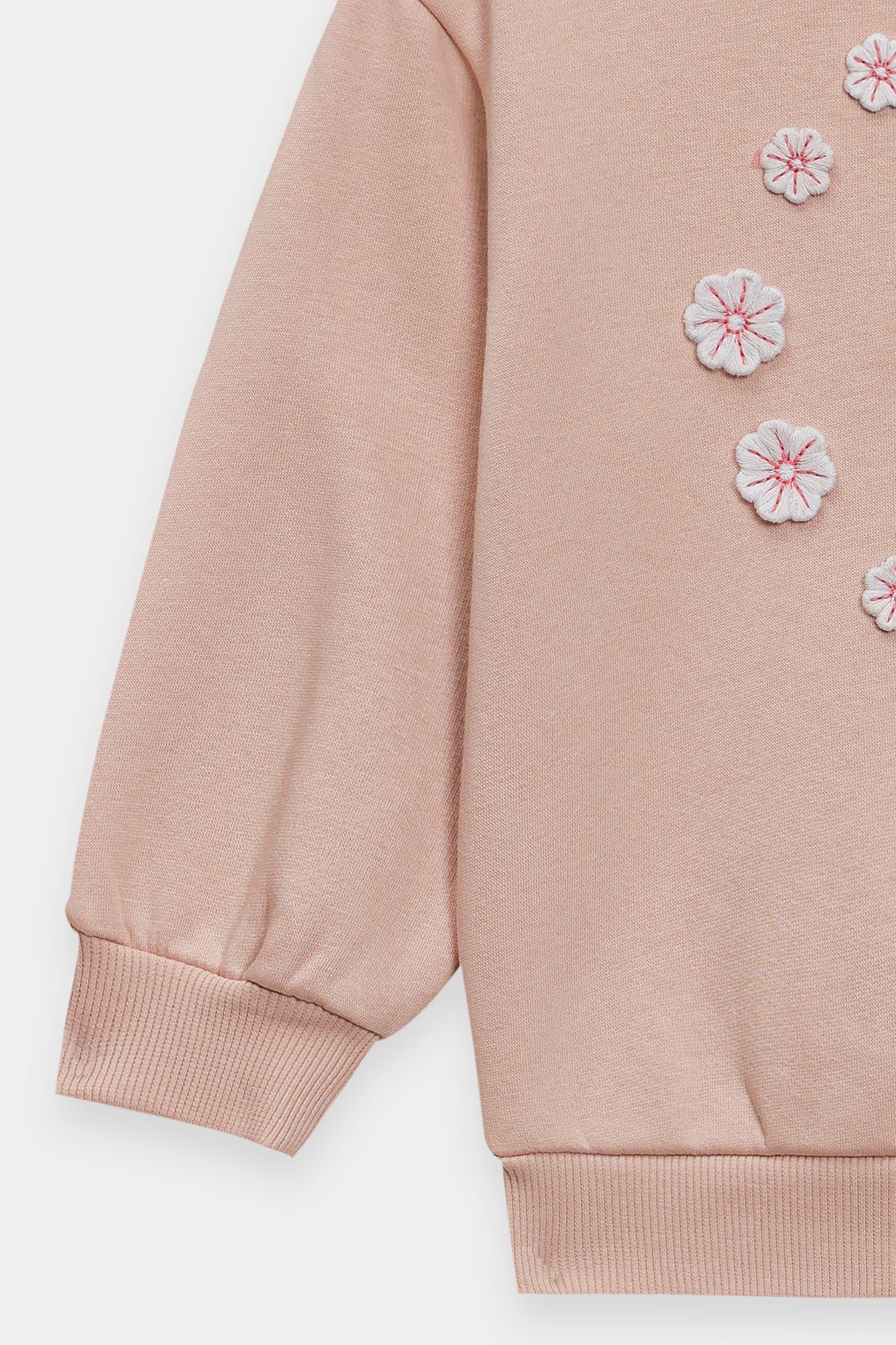 SWEATSHIRT (E1942/301/329)
