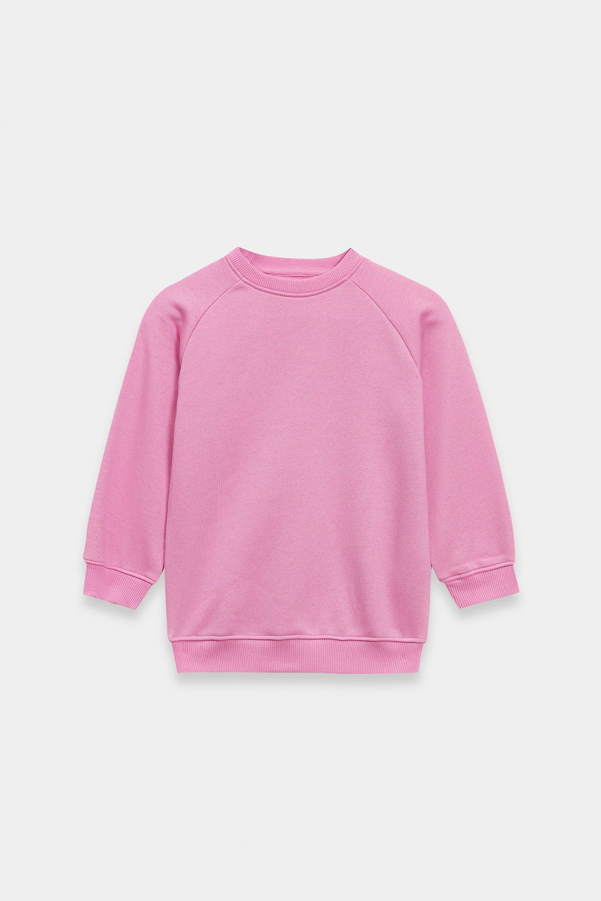 SWEATSHIRT (E1946/301/529)