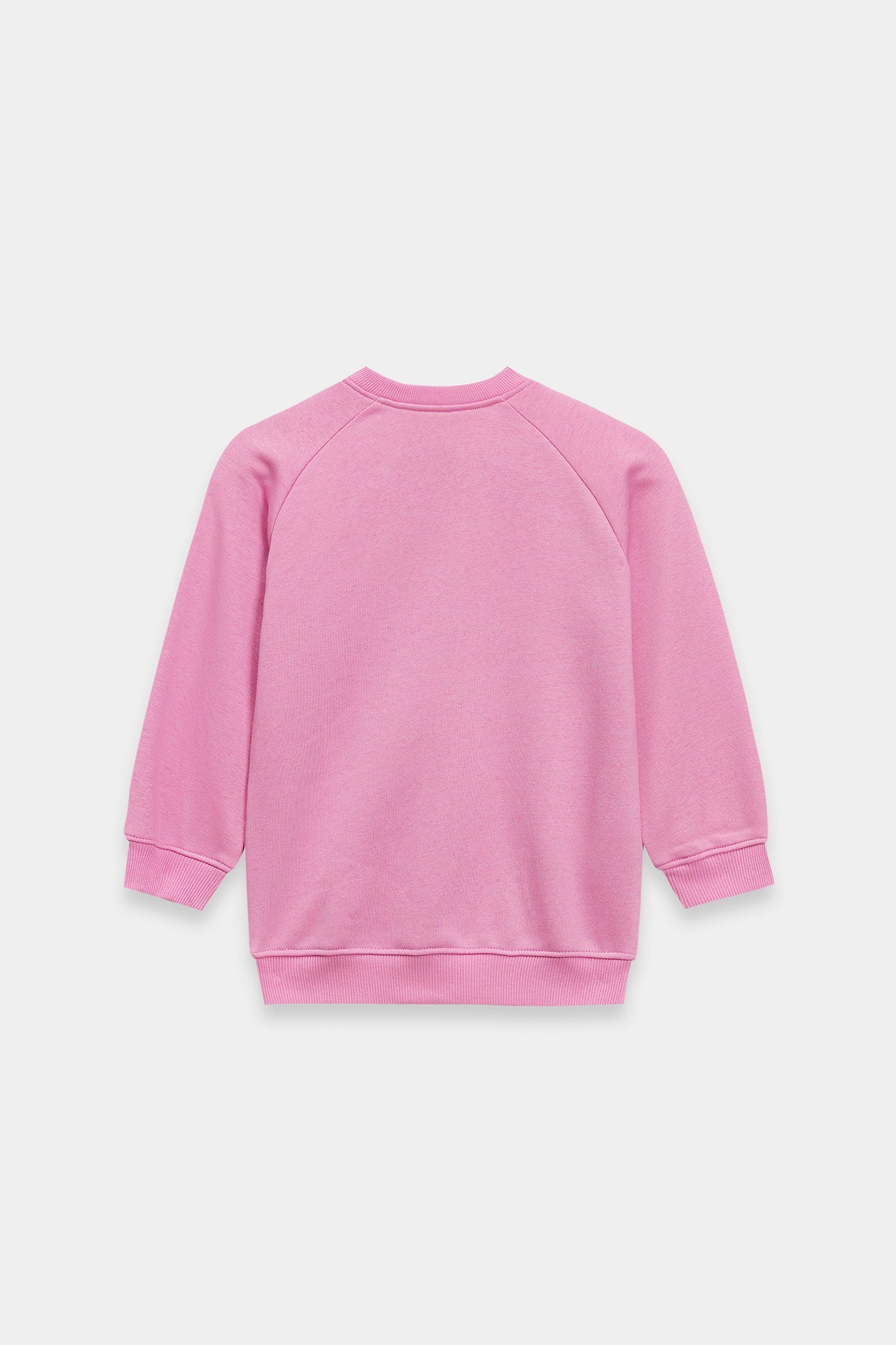 SWEATSHIRT (E1946/301/529)