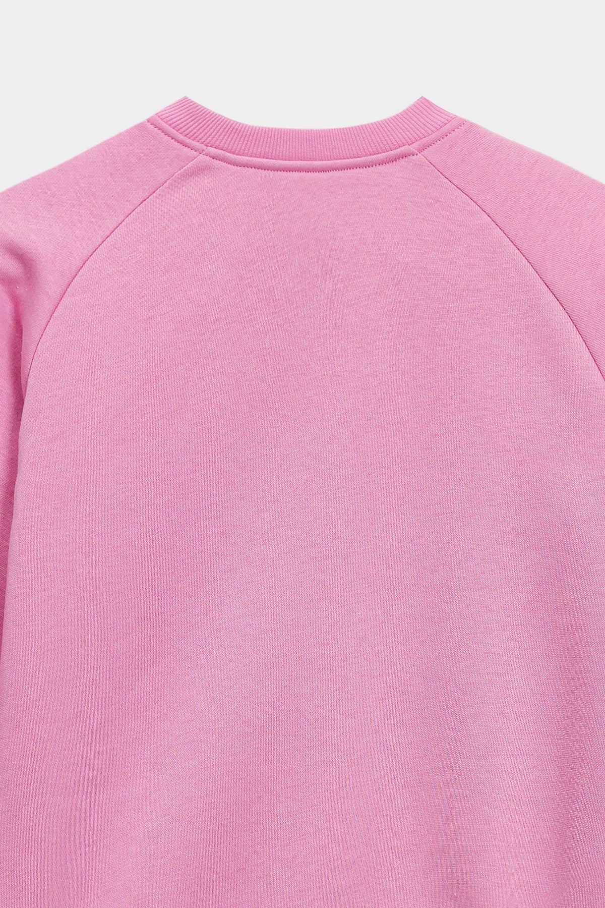 SWEATSHIRT (E1946/301/529)