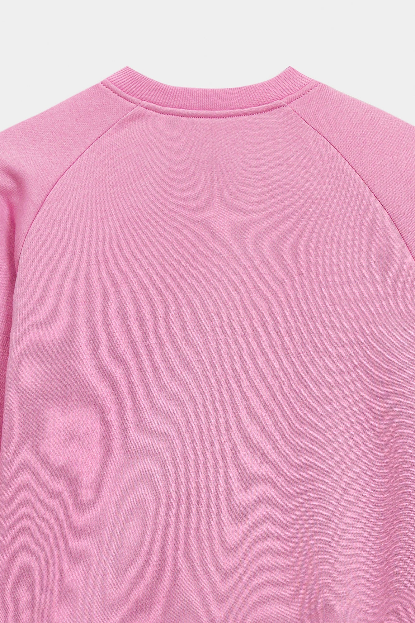 SWEATSHIRT (E1946/301/529)
