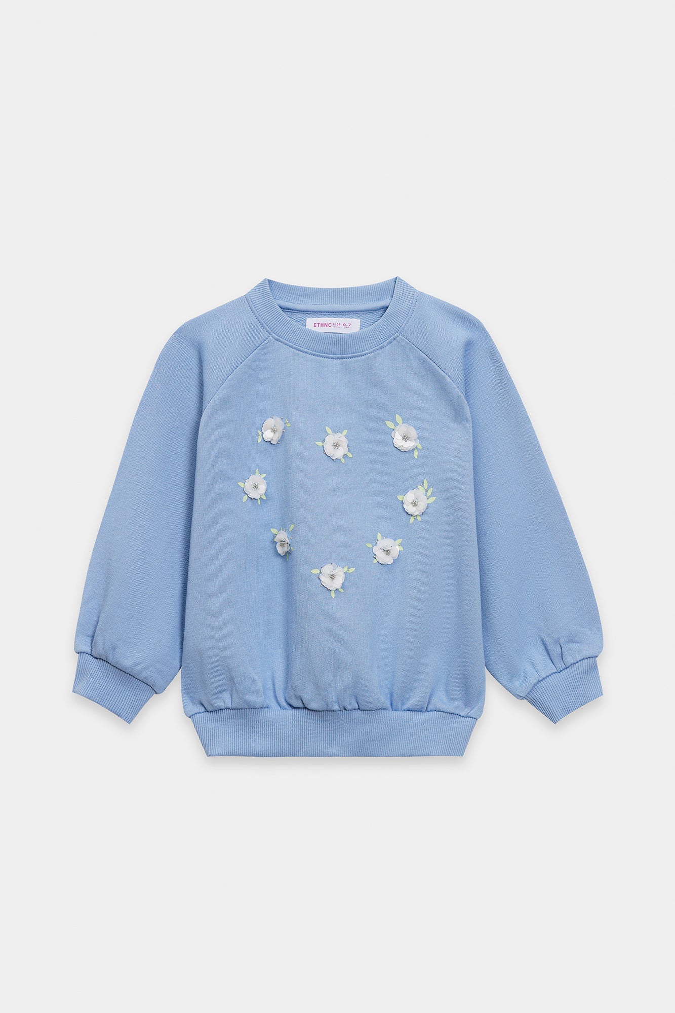 Sweat Shirt (E1955/401/632)