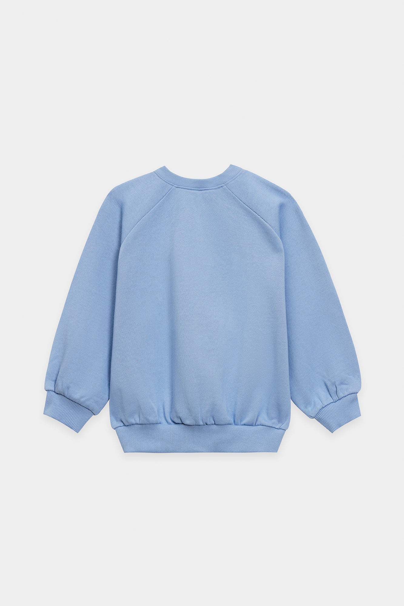 Sweat Shirt (E1955/401/632)