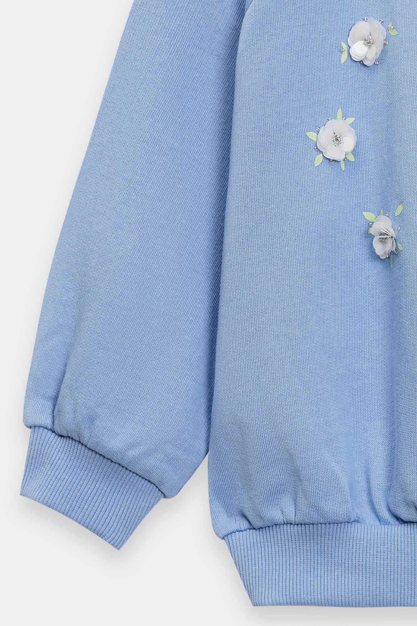 Sweat Shirt (E1955/401/632)