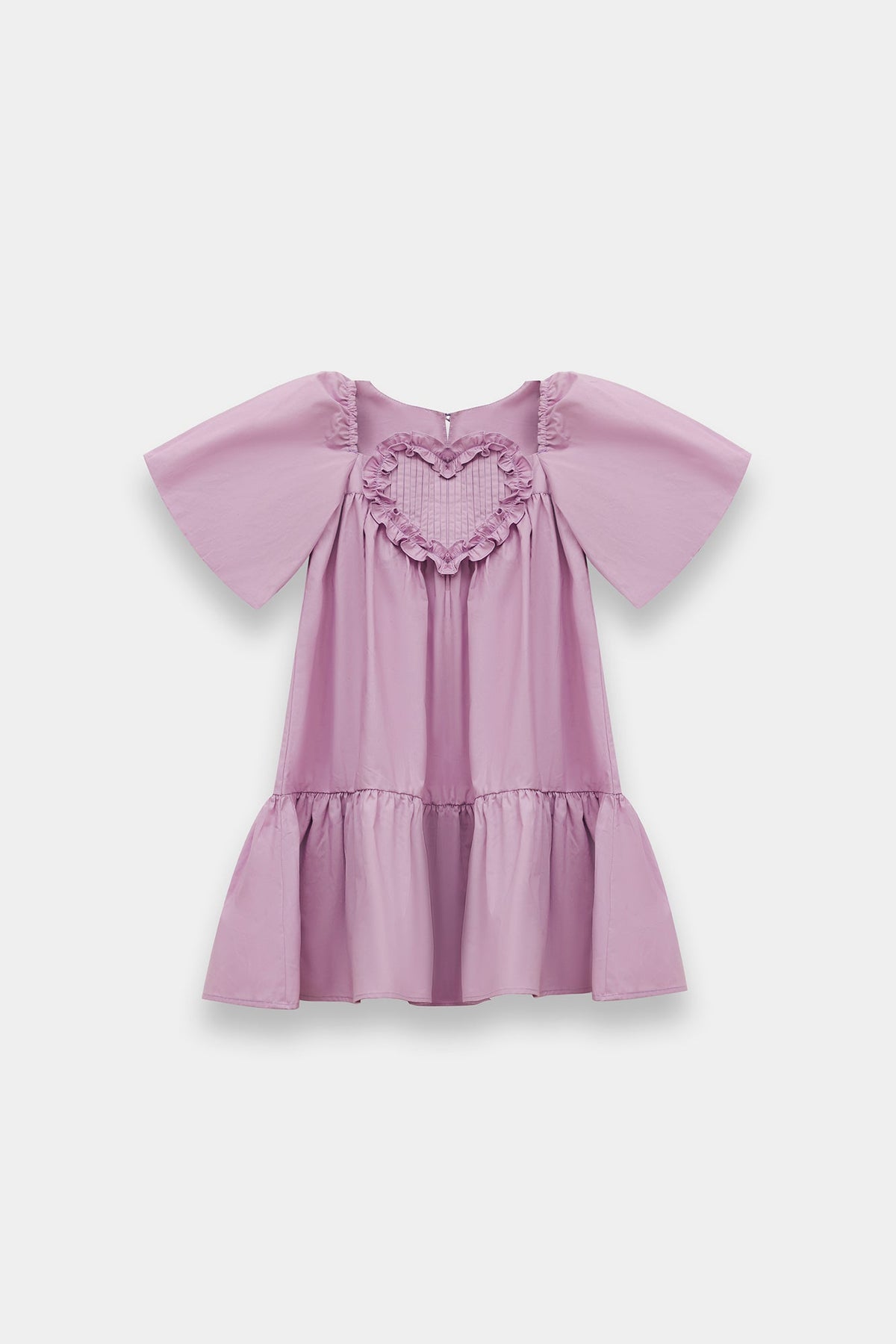 DRESS (E2146/301/513)