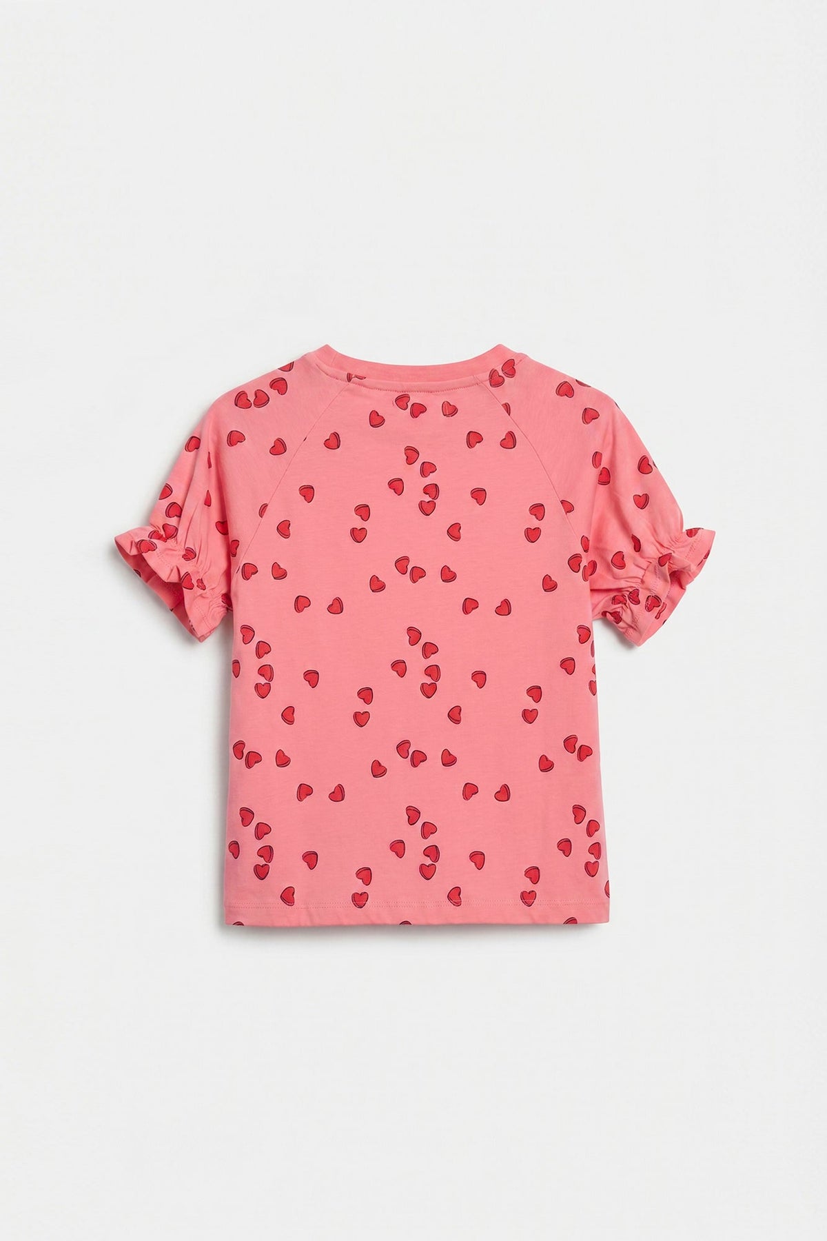 T-SHIRT (E2216/401/326)