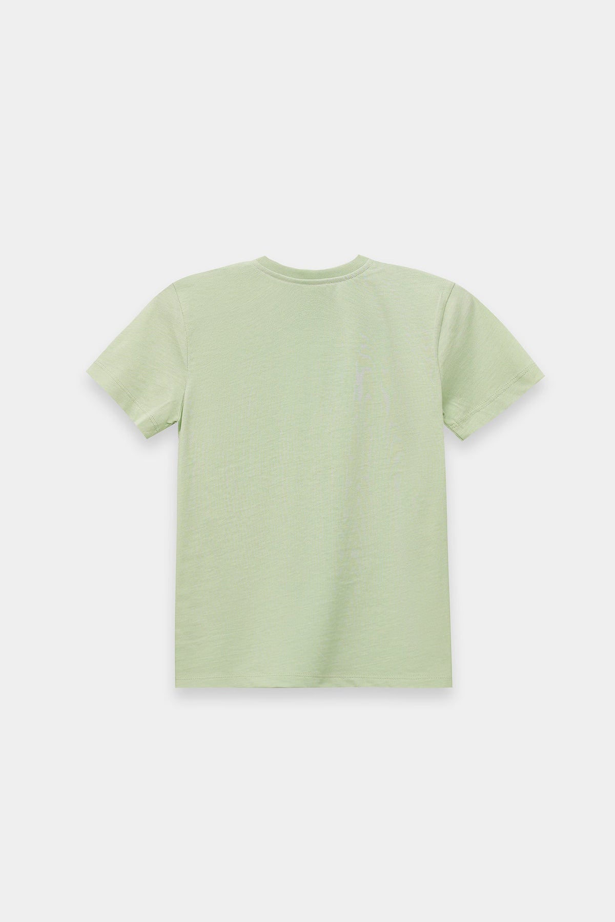 T-SHIRT (E2219/401/129)