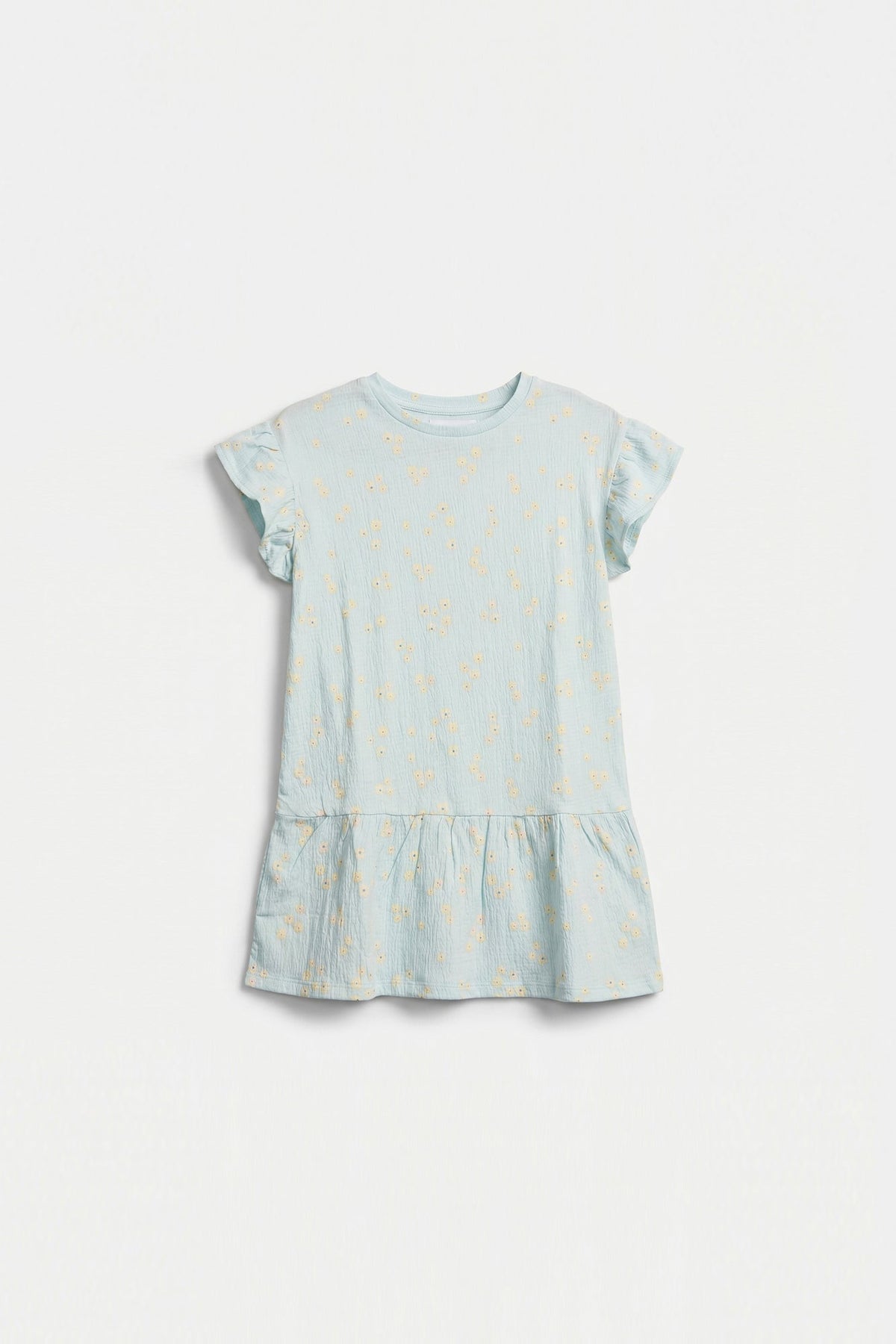 DRESS (E2223/301/718)