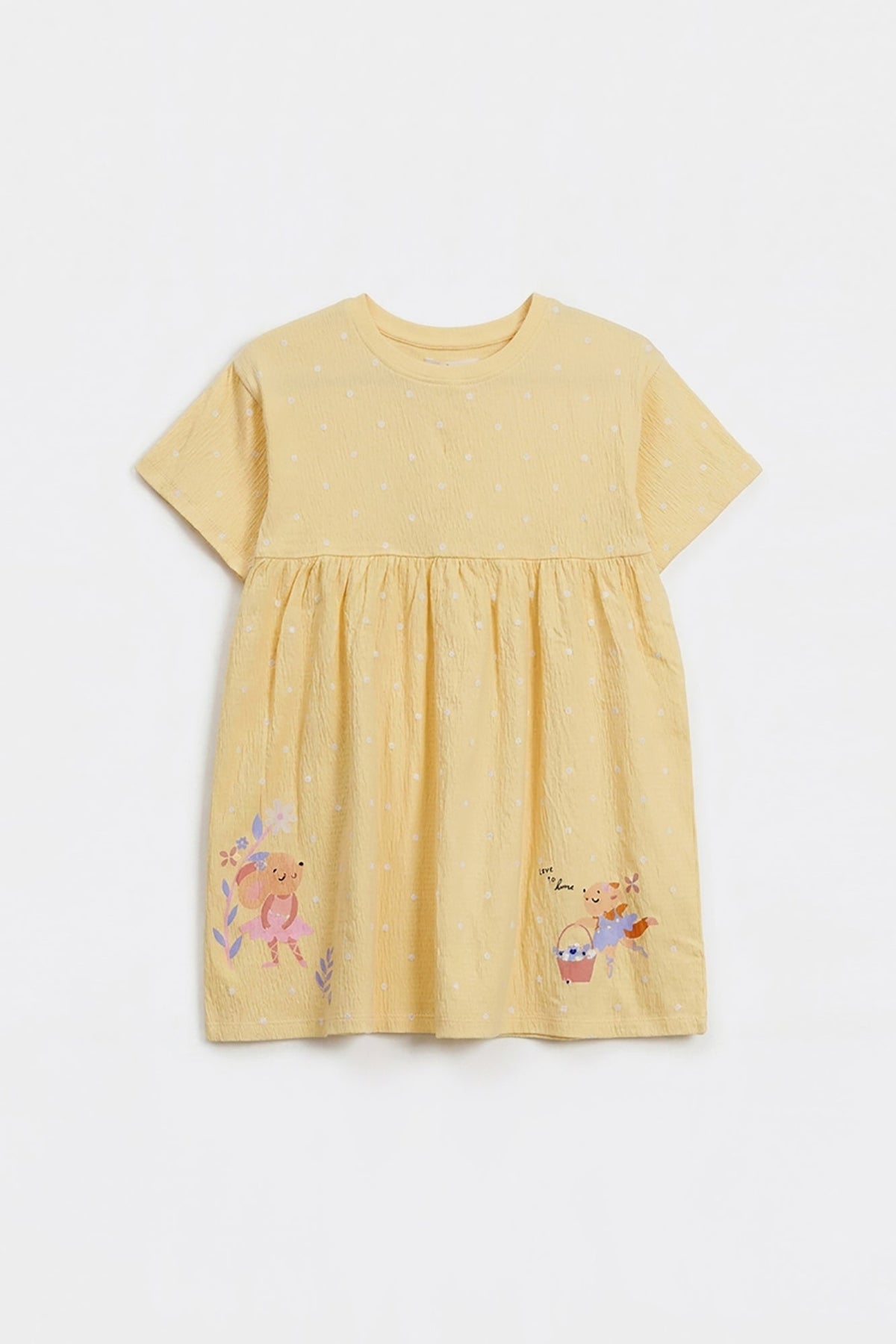 DRESS (E2225/301/226)