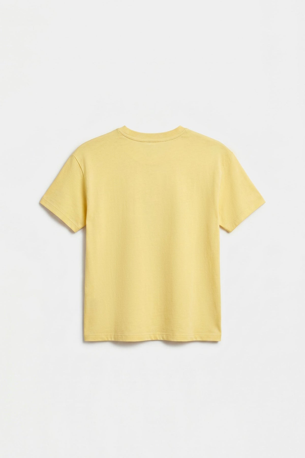 T-SHIRT (E2246/301/110)