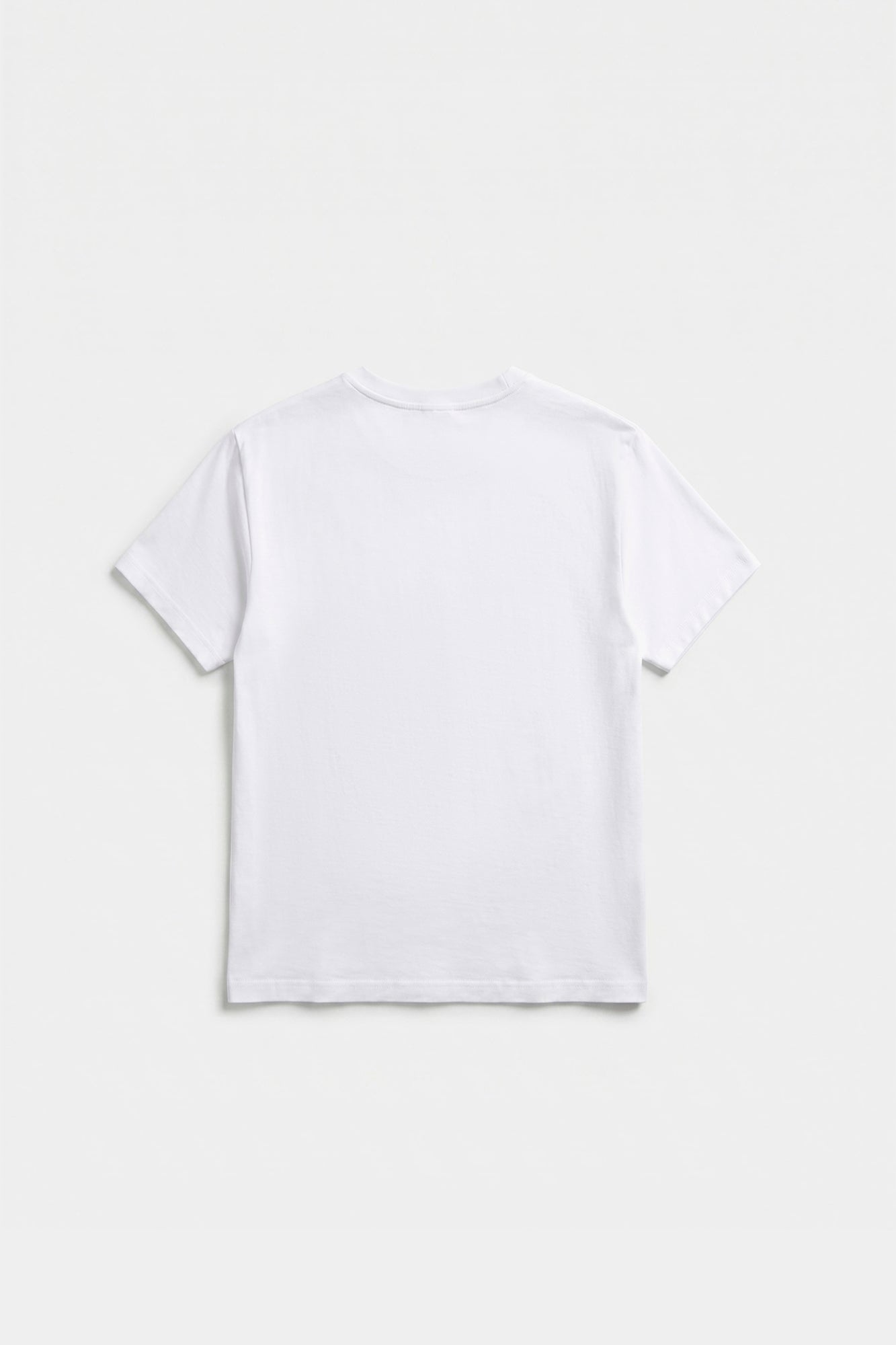 T-SHIRT (E2272/301/001)