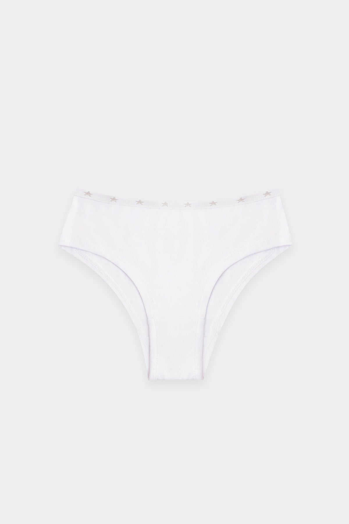 BRIEFS (E2513/411/999)