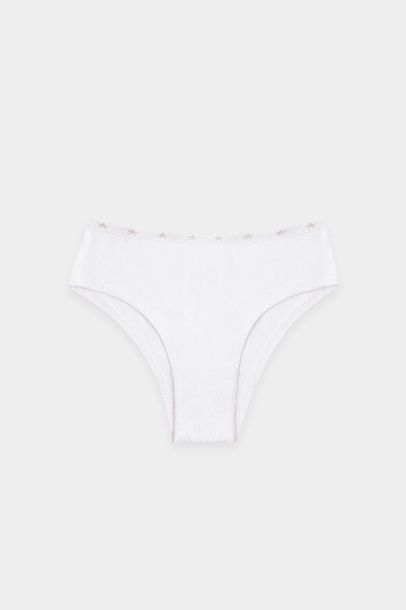 BRIEFS (E2513/411/999)