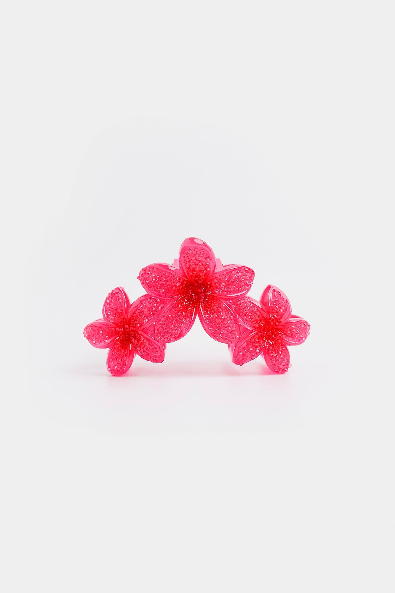 Hair Accessories (E2733/111/406)