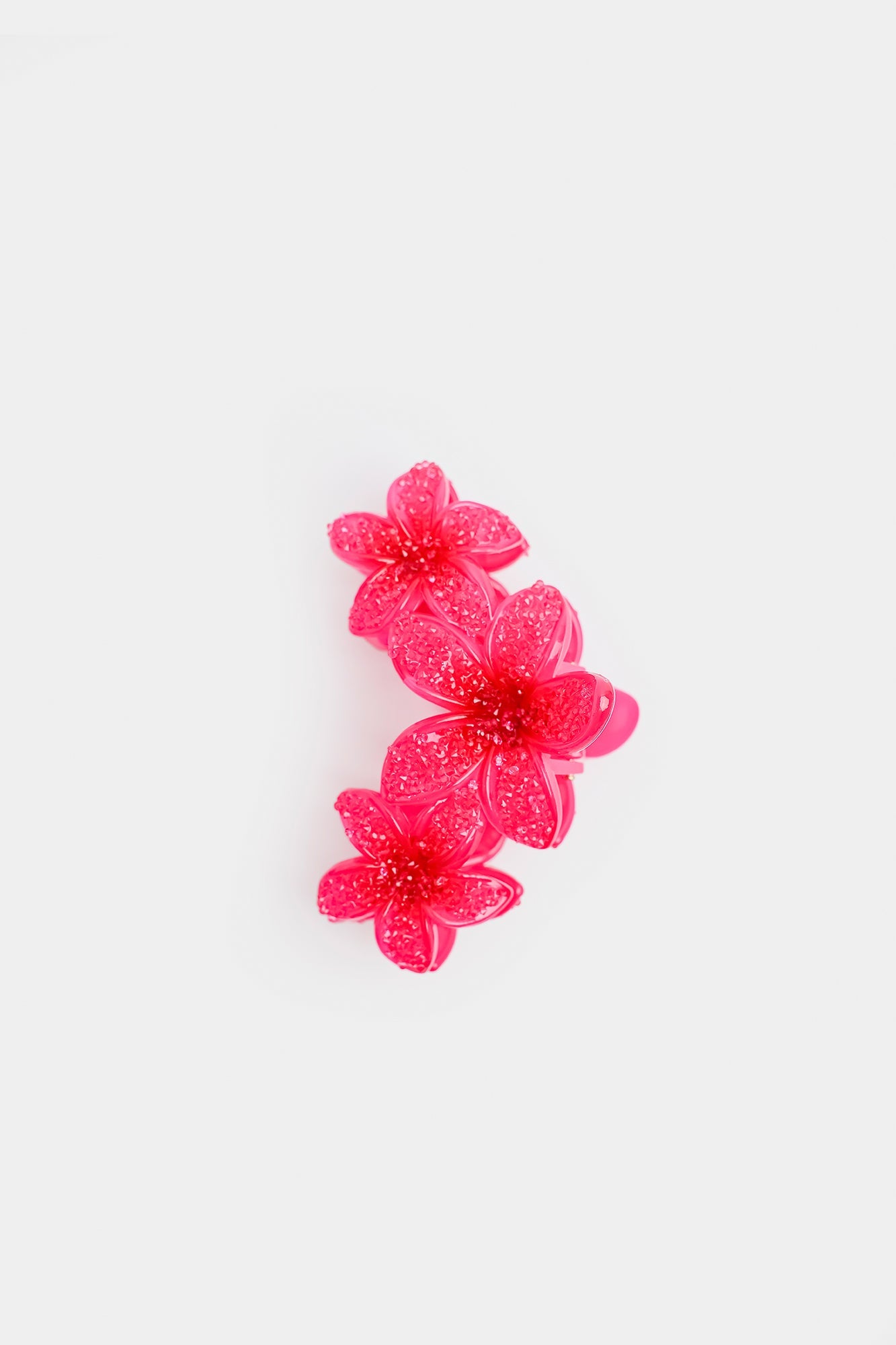 Hair Accessories (E2733/111/406)
