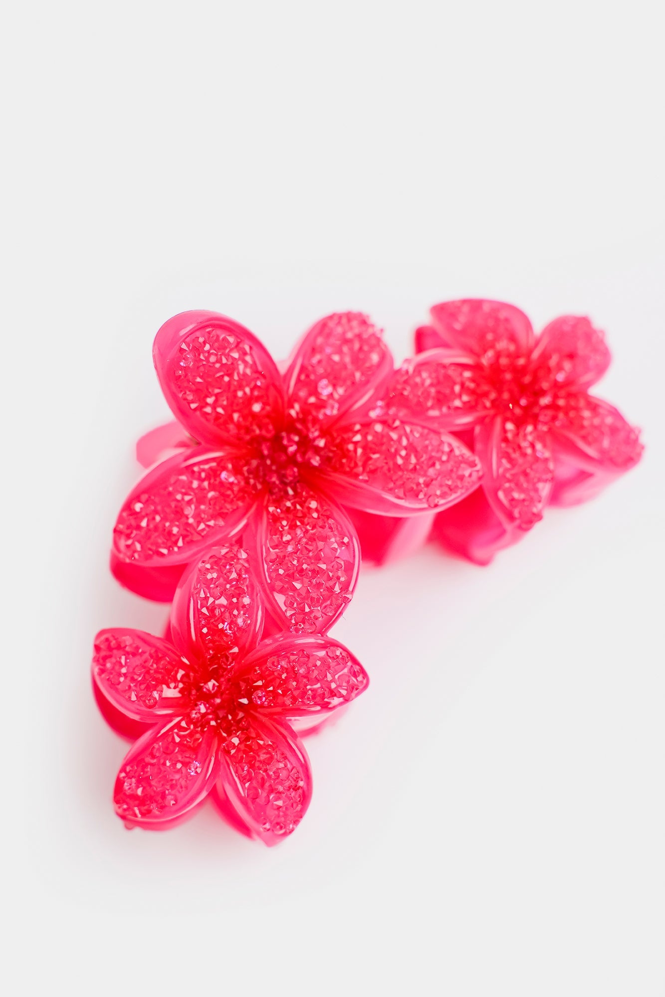 Hair Accessories (E2733/111/406)