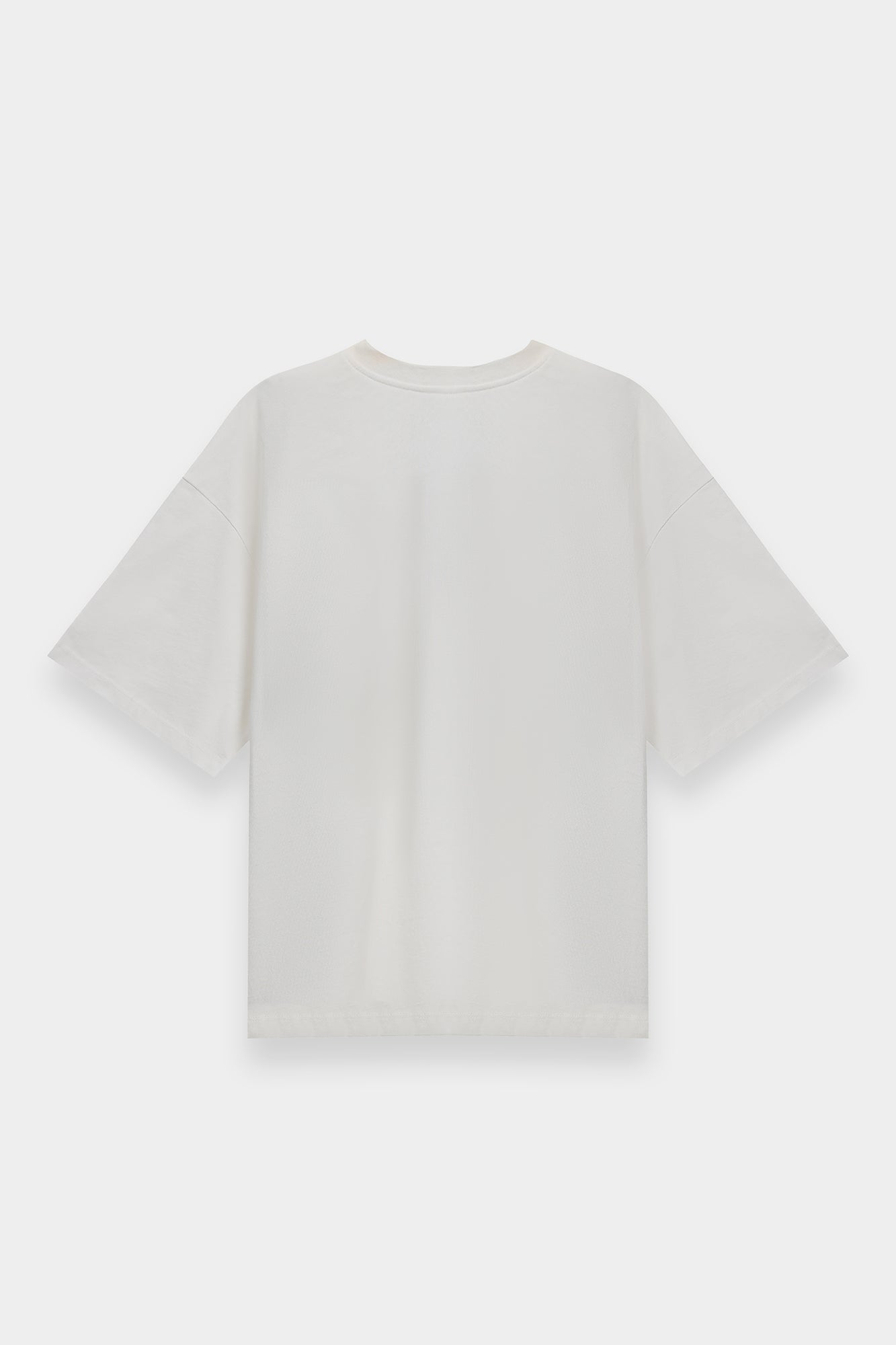T-SHIRT (E3558/108/002)