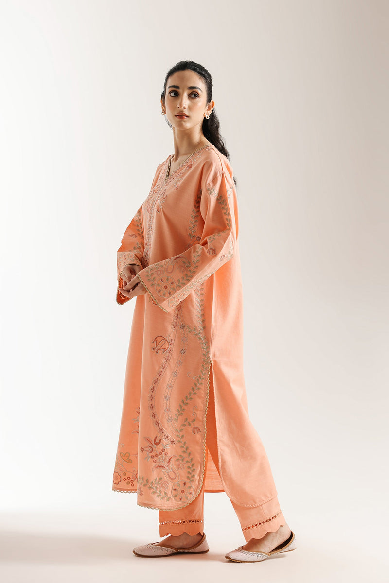 Embroidered Suit (E3601/103/214)