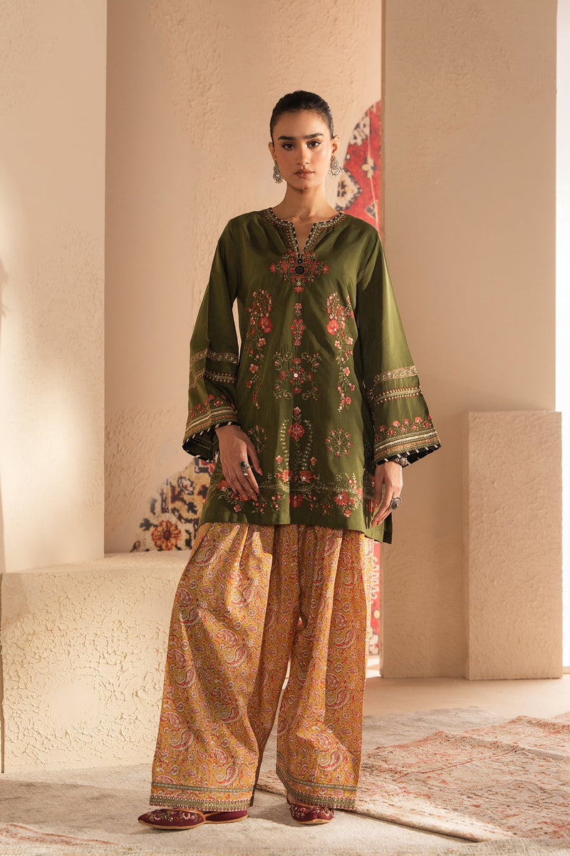 Embroidered Suit (E4243/103/120)