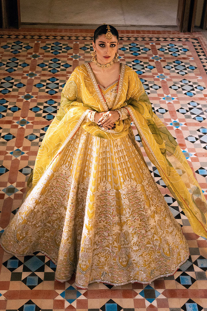 Suraj Mukhi