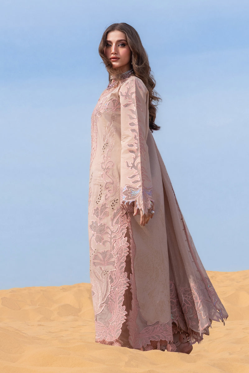 Rang Rasiya – Elaheh Style