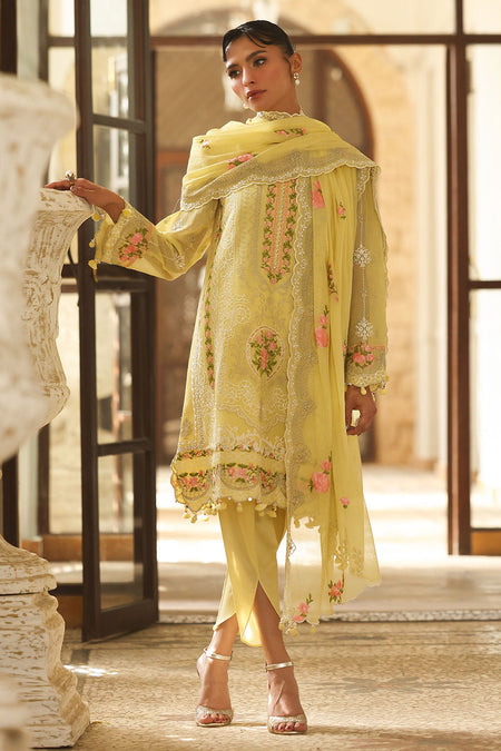 3 Piece Embroidered Cotton Net Suit with Borders and Embroidered Cotton Net Dupatta