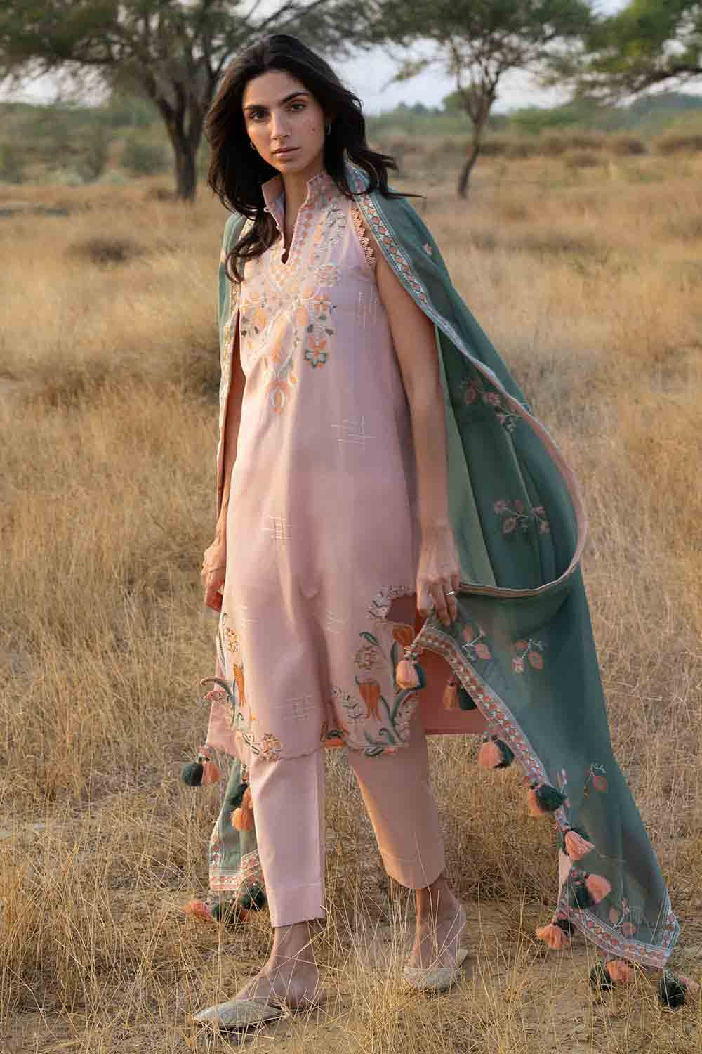 2 Piece - Embroidered Chiffon Suit