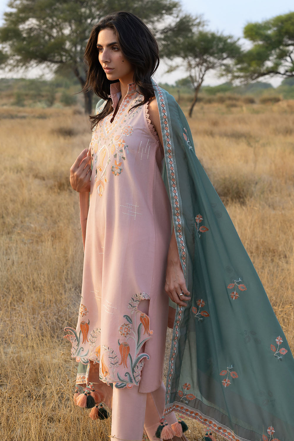 2 Piece - Embroidered Chiffon Suit