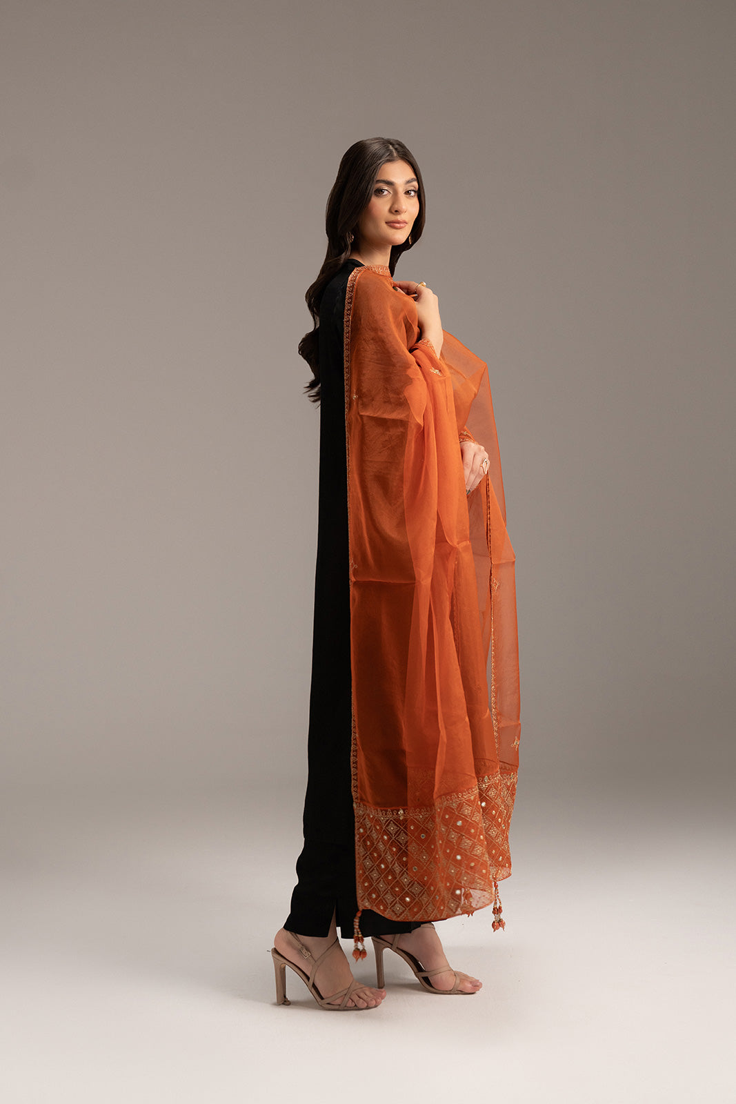 1 Piece Organza Embroidered Dupatta (FD0052)