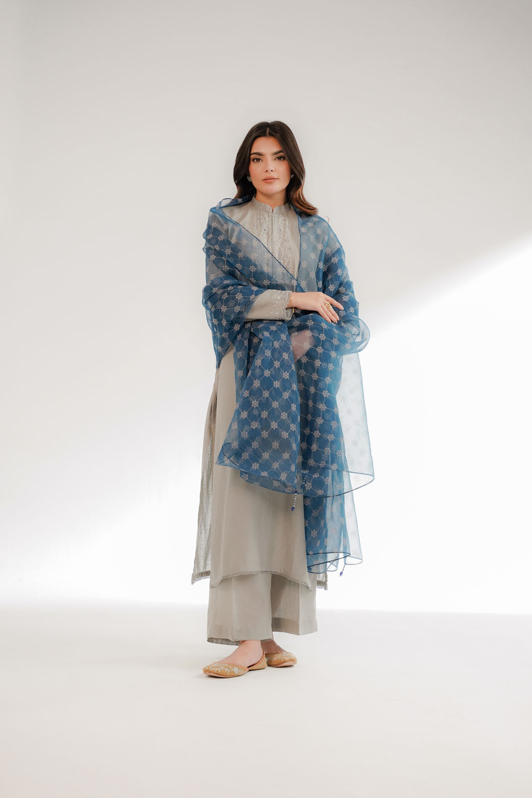 1 Piece Printed Organza Printed Dupattas/Stoles (FD0066)