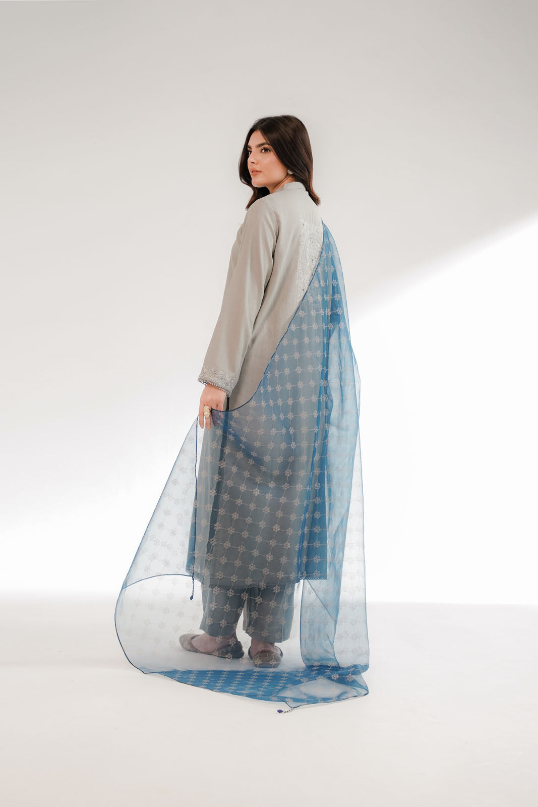 1 Piece Printed Organza Printed Dupattas/Stoles (FD0066)