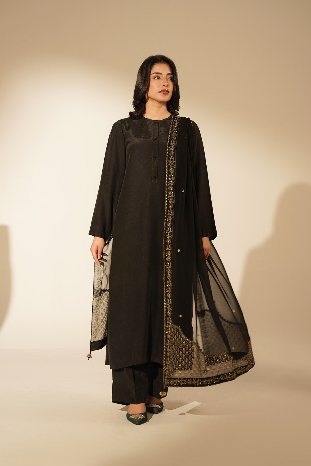 1 Piece Chiffon Embroidered Dupattas/Stoles (FD0082)