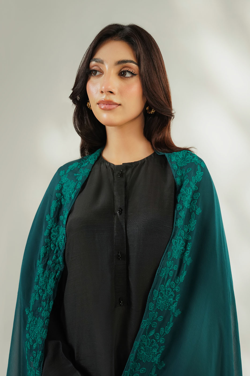 1 Piece Chiffon Embroidered Dupatta (FD0146)