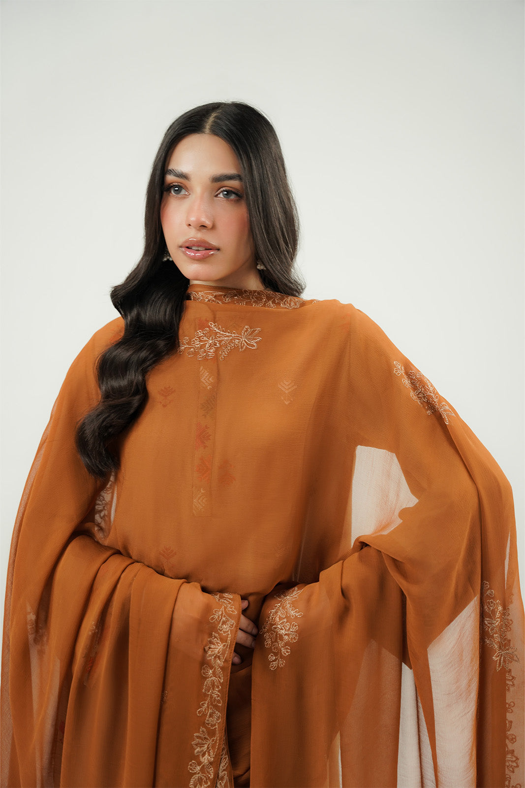 1 Piece Chiffon Embroidered Dupatta (FD0153)