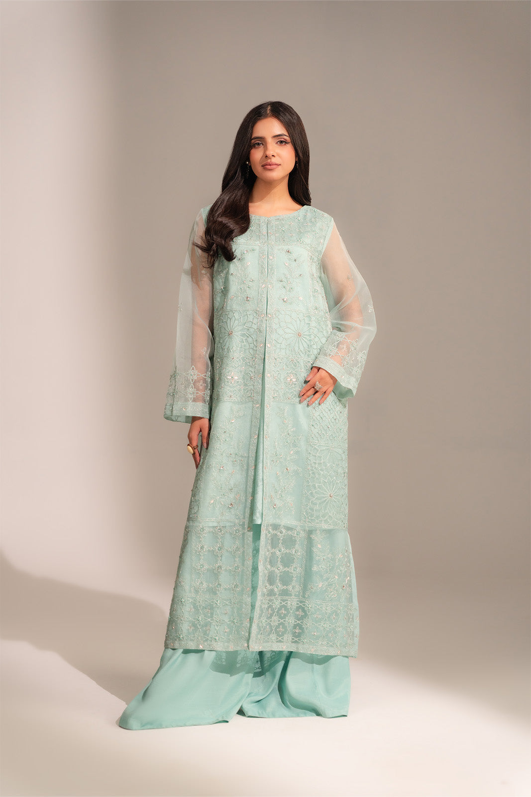 2 Piece Organza Embroidered Suit (FL0138)