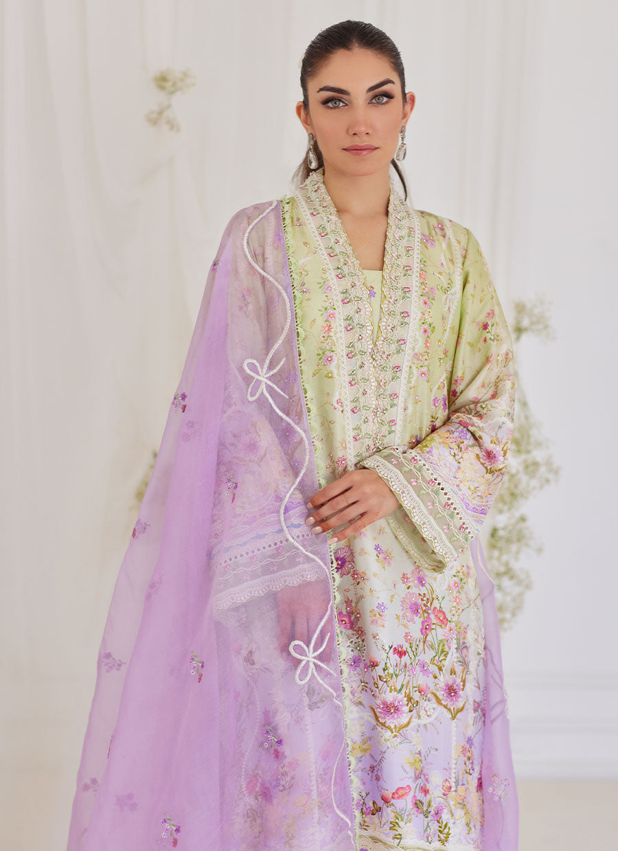 Renata Embroidered Organza Dupatta