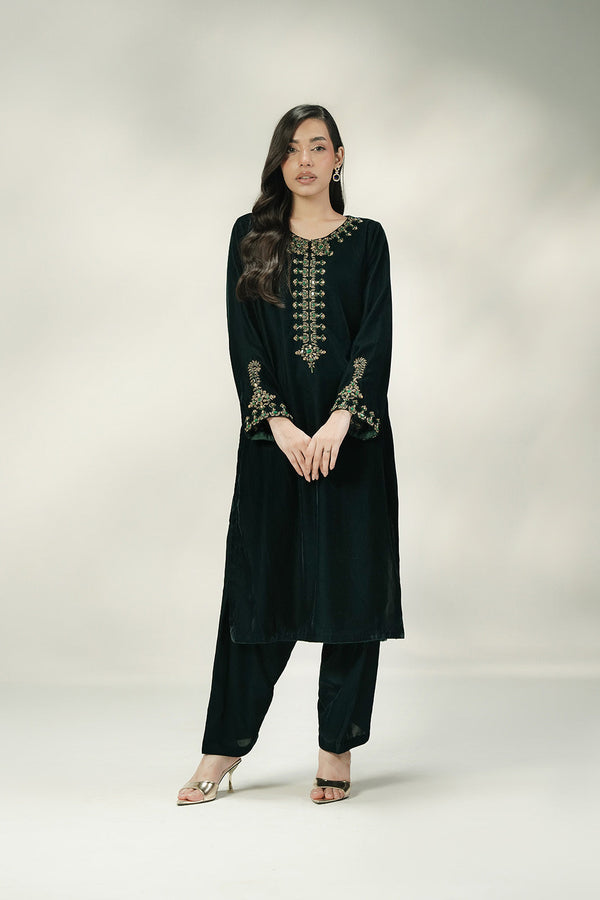 2 Piece Velvet Embroidered Suit (FV0020)
