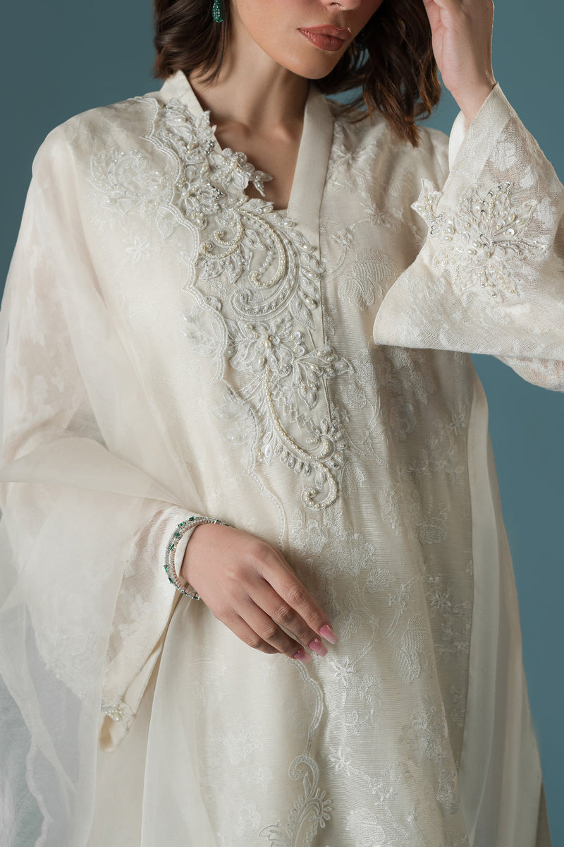 Chandni Rani Long Kurta Set (D-11)