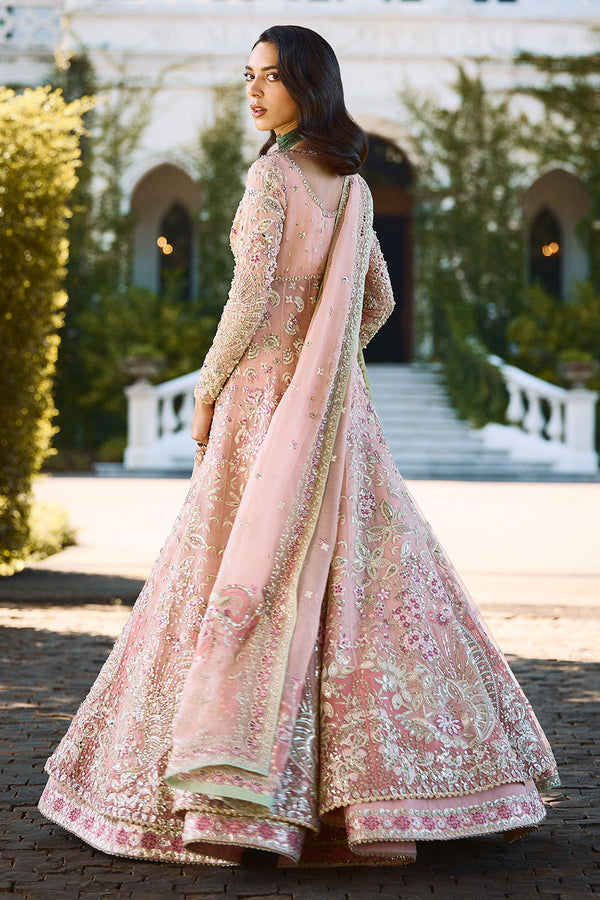 Florencea Style — Mairaz Pink Organza Suit