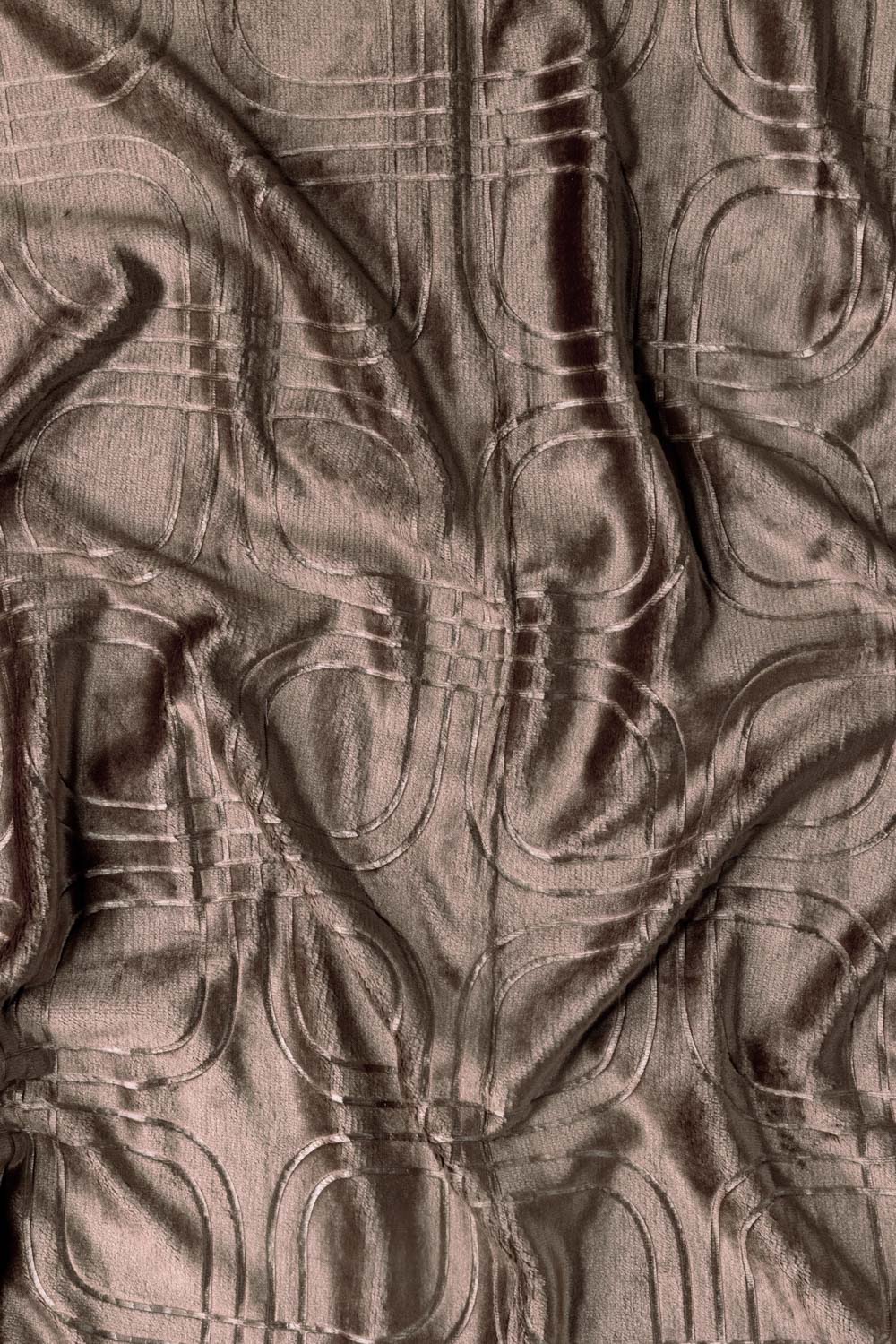 AW25-Fungi Embossed Single Ply Fleece