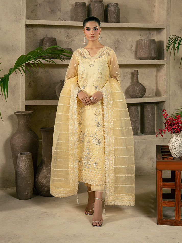 Gulaal – Aureva Style