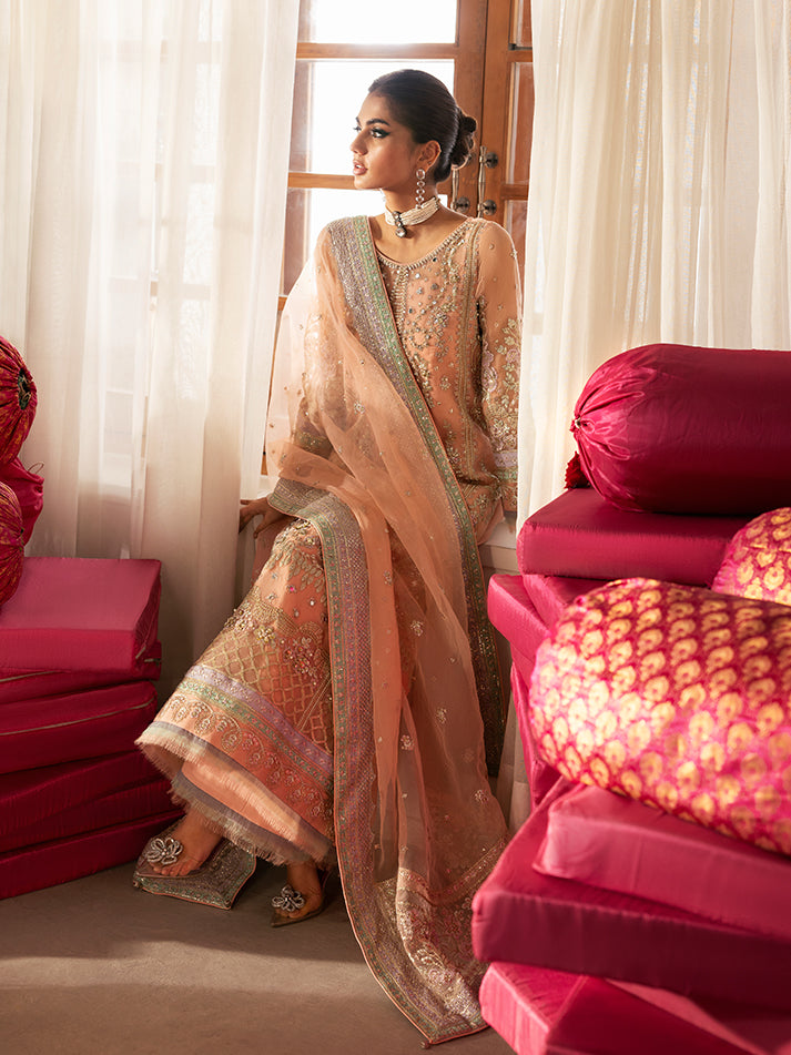 Gulaal – Raniya Style