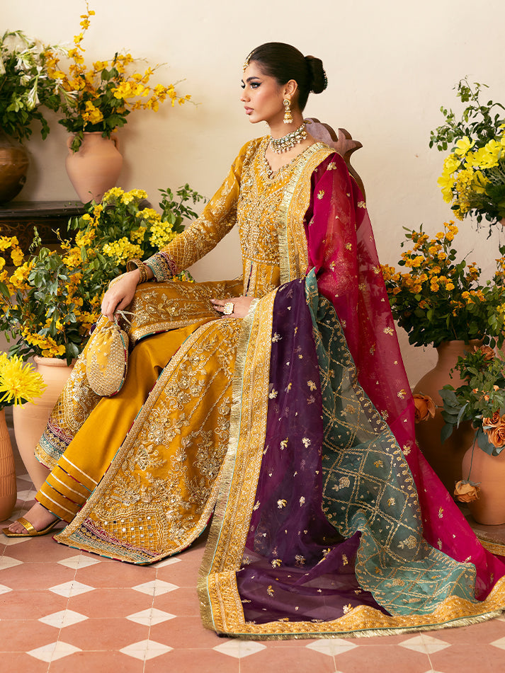 Gulaal – Nayaara Style