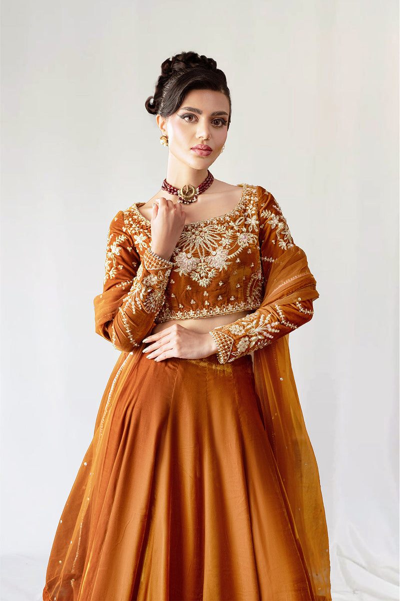 AMBERIN-SRVP25-11