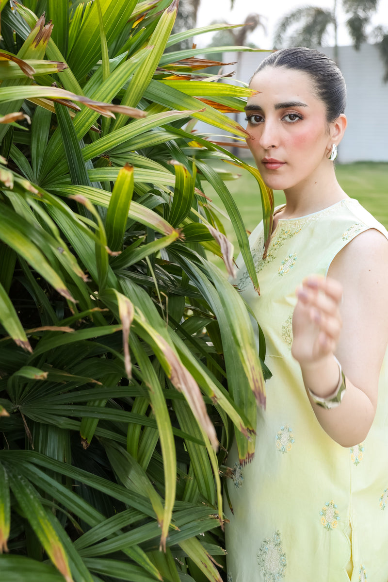 Lime Yellow Luxury Embroidered 2Pcs Set (Npa2-25304) - Ready To Wear