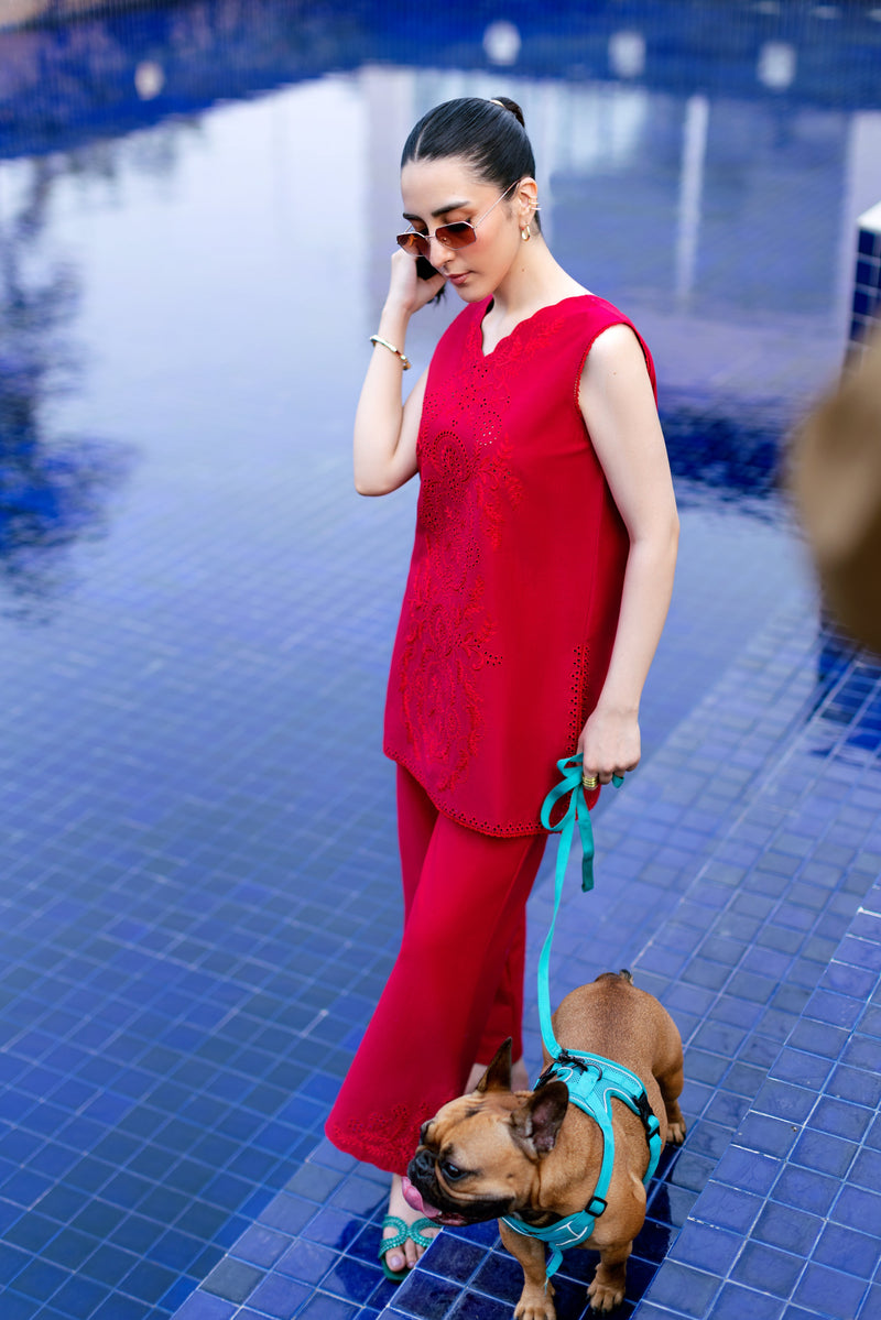 Raspberry Red Luxury Embroidered 2Pcs Set (Npa2-25301) - Ready To Wear